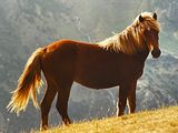 1D9B71DA-BE3D-485A-B2A2-334BC3B8142D.jpeg