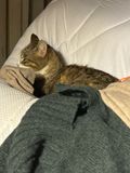 IMG_3669.jpeg
