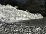 IMG_2805.jpeg