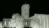IMG_2820.jpeg