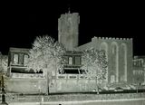 IMG_2822.jpeg