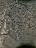 IMG_2851.jpeg