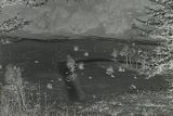 IMG_2840.jpeg