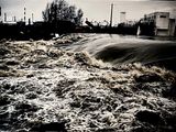 IMG_3969.jpeg