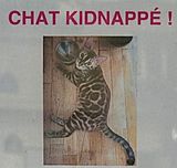 Beau chat vol  Paris par la racaille