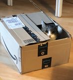 IMG_7763.jpeg