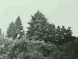 IMG_7520.jpeg
