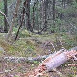 20250505_181359.jpg