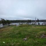 20250507_102443.jpg