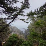 20250507_143535.jpg