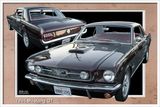 2013 Cars DD 10-21-23 (6) Mustang 1965 GT F+R Crop B Frame text w.jpg
