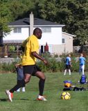 D5  IMG_0946.jpg
