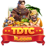 TDTC it com logo.png