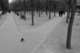 On se retrouve au pigeon