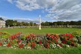 Fleurs de septembre