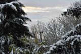 From our window this morning (November 24, 2024)