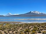 Lago Chungar, PN Lauca
