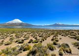Pargue Nacional Lauca, Lago Chungara