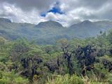 Cayambe-Coco Reserve