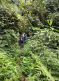 Guacamayos Trail