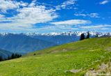 Olympic NP from Hurricane Ridge