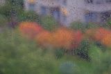  la Saul Leiter