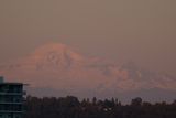 Mt. Baker