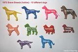 Brave breeds (cereal toy dogs) 1975