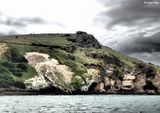 Port to Port Cruises and Wildlife Tours