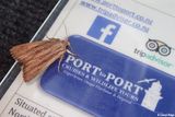 Port to Port Cruises and Wildlife Tours
