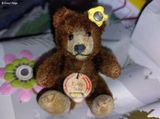 vintage steiff teddy baby 1940s 1950s