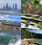 Burleigh