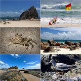 Currumbin Beach