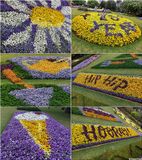 carnival-of-flowers-2024.jpg