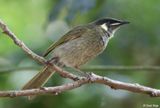 IMG_0001-small.jpg