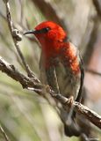 IMG_9864-small.jpg