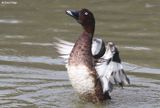 IMG_0023-small.jpg