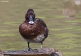 IMG_0014-small.jpg