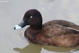 IMG_0019-small.jpg