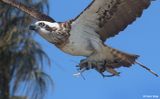 IMG_9491-small.jpg