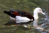 IMG_9368-small.jpg