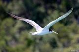 IMG_9786-small.jpg