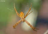 P9200024-small.jpg