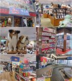 hakuhinkan-toy-park-montage.jpg