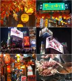 shinjuku-at-night.jpg
