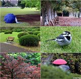 shinjuku-gyoen-national-garden1.jpg