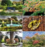 hakone-gora-park-montage.jpg