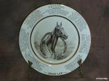 Phar Lap plate