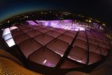 IMG_5599.jpg