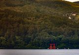 IMG_6586.jpg